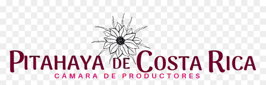 Floral Design, HD Png Download - frutas tropicales png