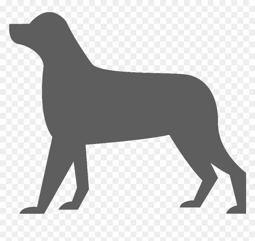 Perros De Los Dioses Azules Clipart , Png Download - Arthritic Areas In Dogs, Transparent Png - perros png