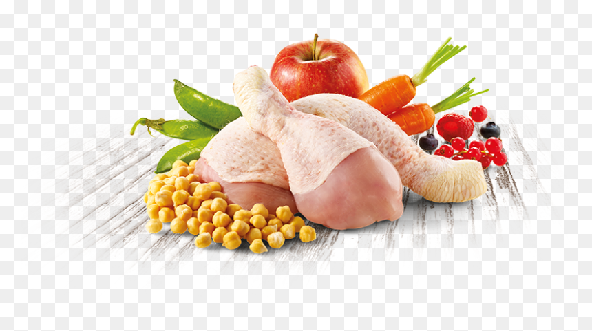 Pienso Natural Para Perros Con Pollo Fresco Trueinstinct - Pollos El Rey Matehuala, HD Png Download - perros png