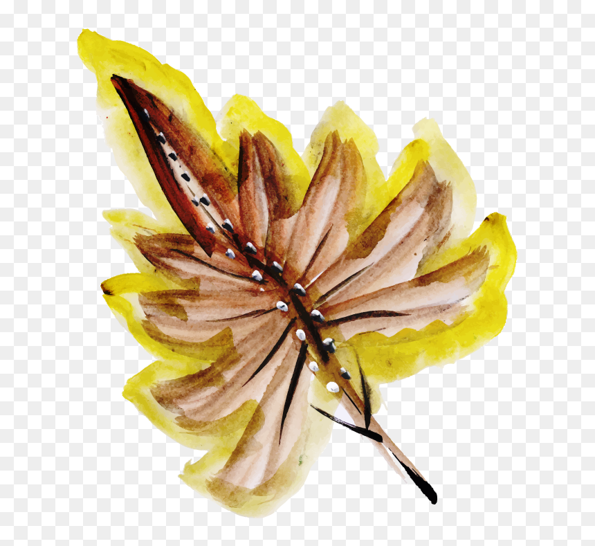 Watercolor Paint, HD Png Download - fall watercolor png