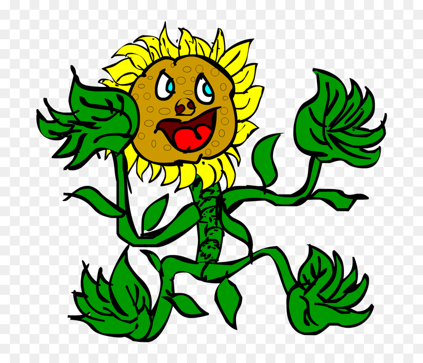 Picture, HD Png Download - sunflower .png