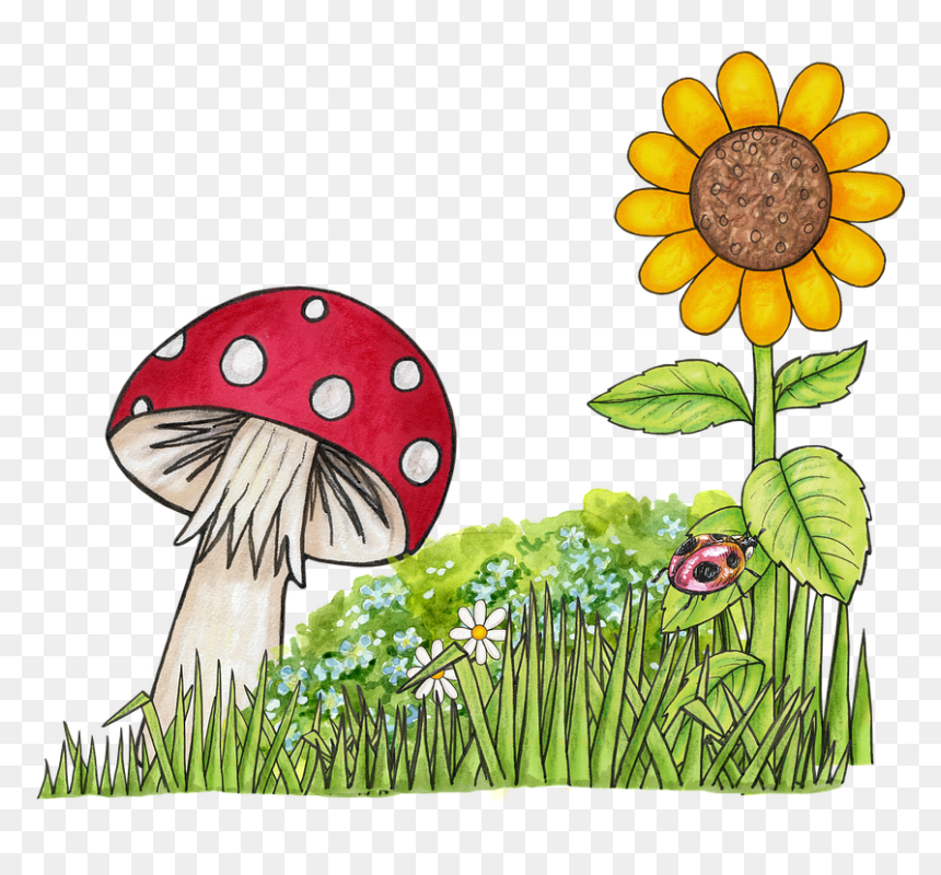 Thumb Image - Flowers With Mushroom Clipart, HD Png Download - sunflower .png