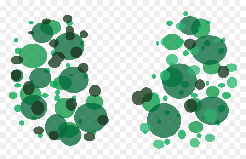 Kidneys , Png Download - Circle, Transparent Png - kidneys png