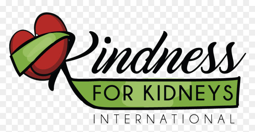 Clip Art, HD Png Download - kidneys png