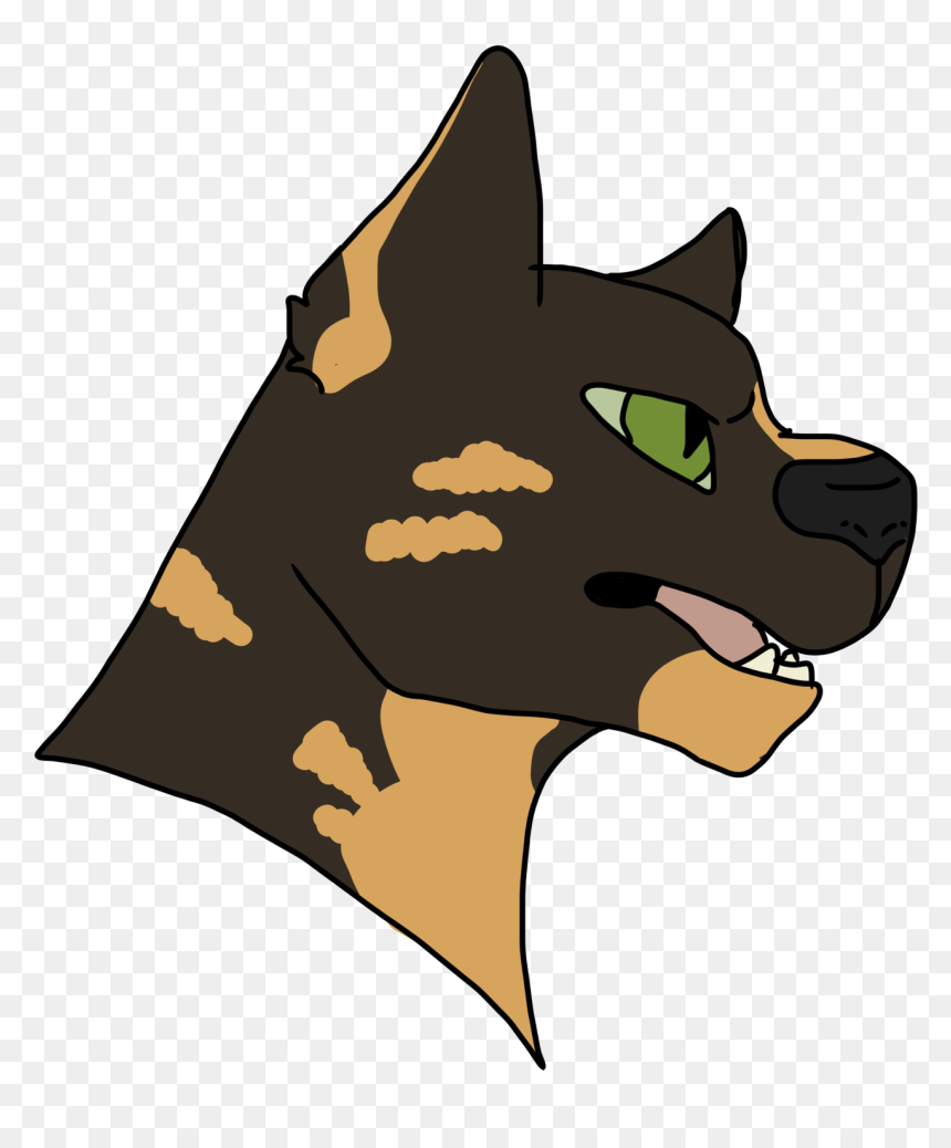 Companion Dog, HD Png Download - raindrops png