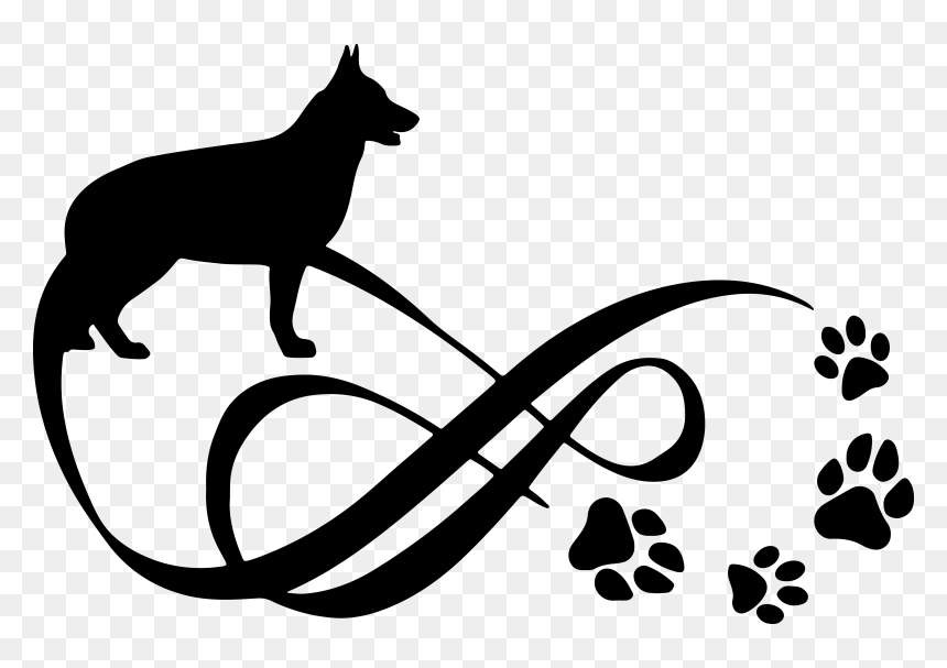 Cavalie King Charles Spaniel Drawing, HD Png Download - german shepherd png