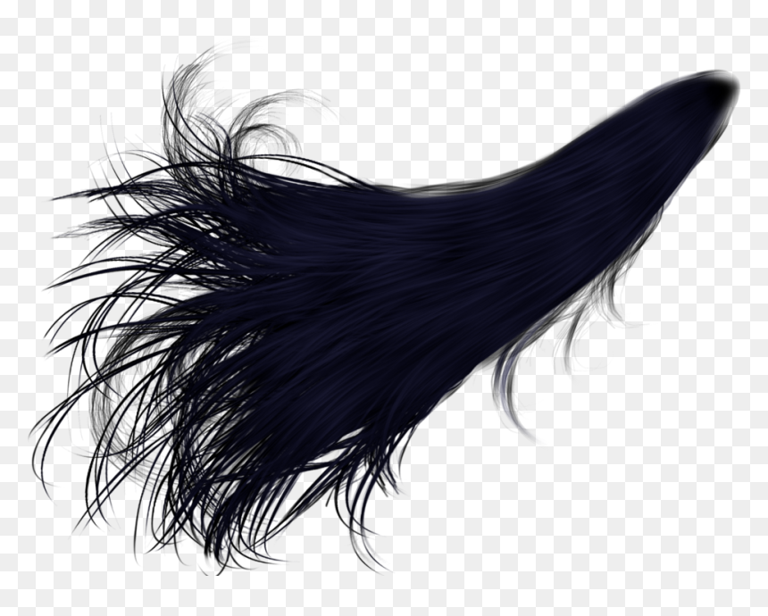Black Hair Png Transparent, Png Download - long hair png