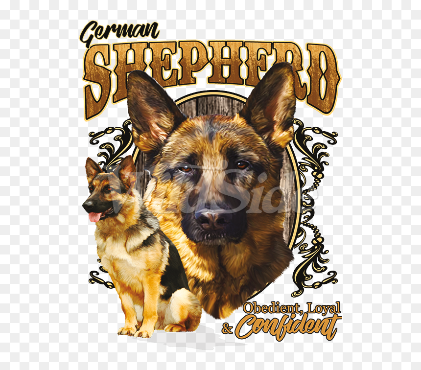 King Shepherd, HD Png Download - german shepherd png