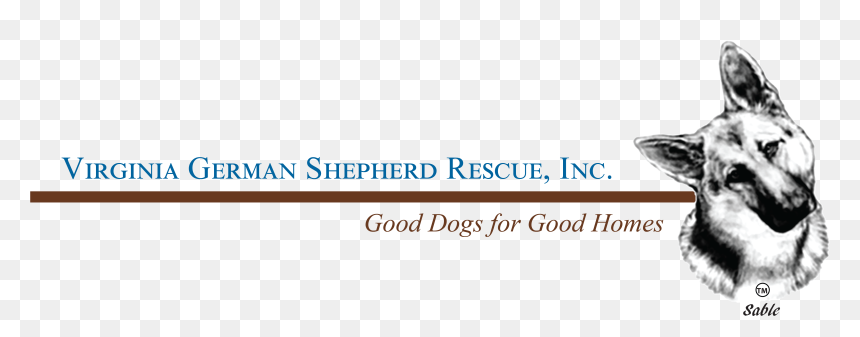 Va German Shepherd Rescue, HD Png Download - german shepherd png