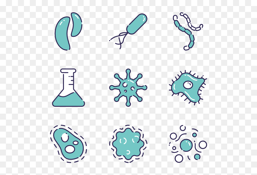 Ecommerce Product Catalog Icon, HD Png Download - bacteria png