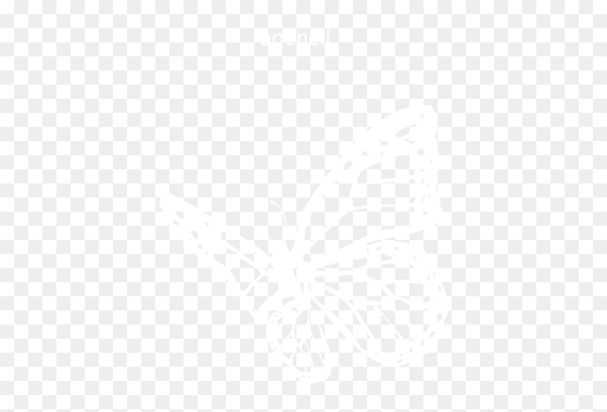 Plan White, HD Png Download - vhs overlay png
