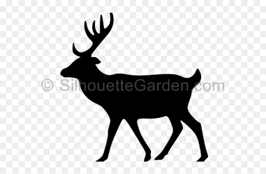Animal Silhouette Deer Png, Transparent Png - deer head silhouette png