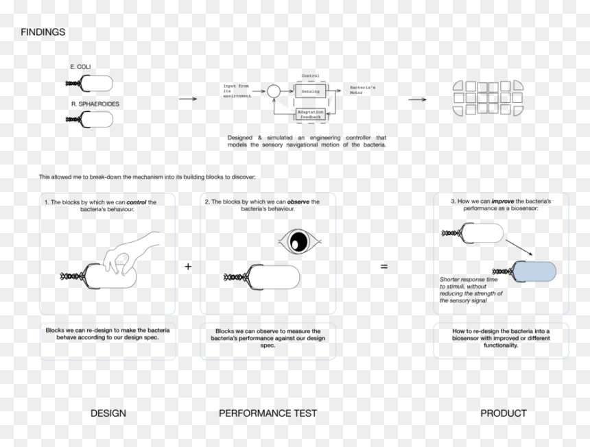 Diagram, HD Png Download - bacteria png