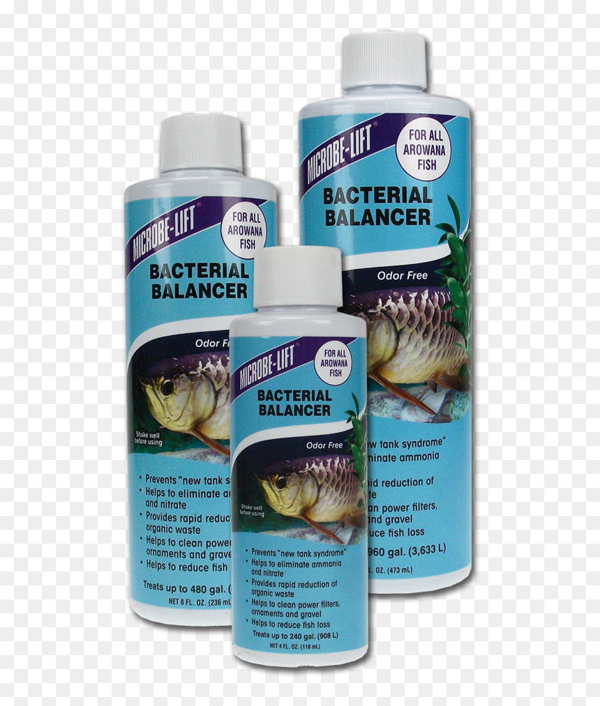 Bacteria For Aquarium, HD Png Download - bacteria png