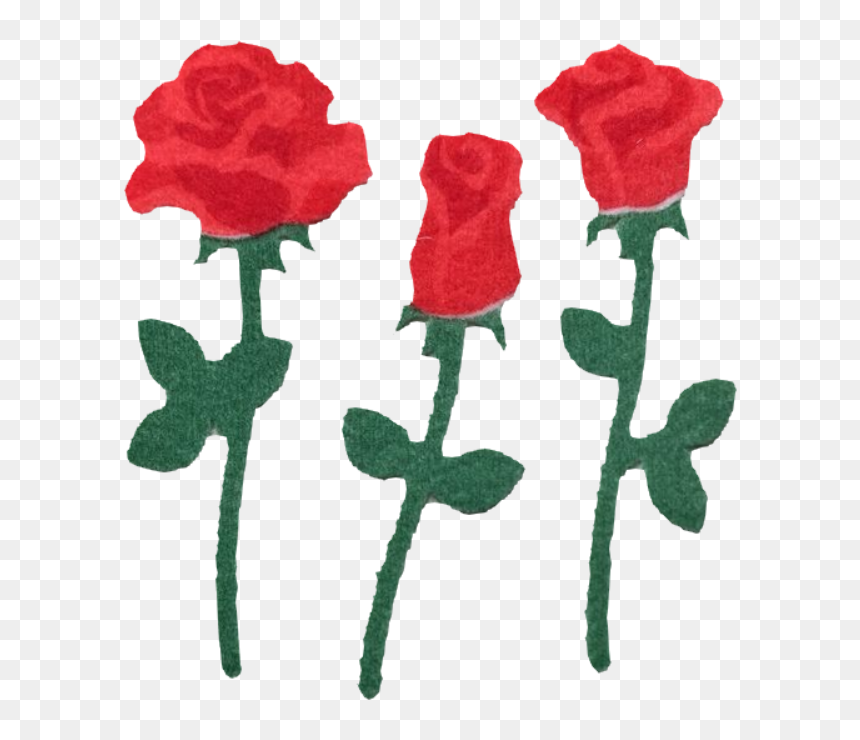 Garden Roses, HD Png Download - flowers png tumblr