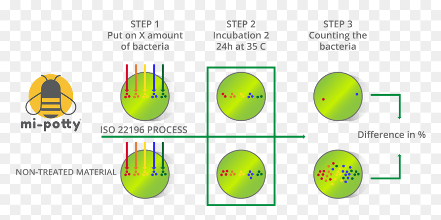 Circle, HD Png Download - bacteria png