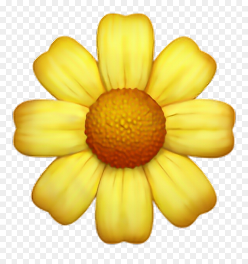 Yellow Flower Emoji, HD Png Download - flowers png tumblr