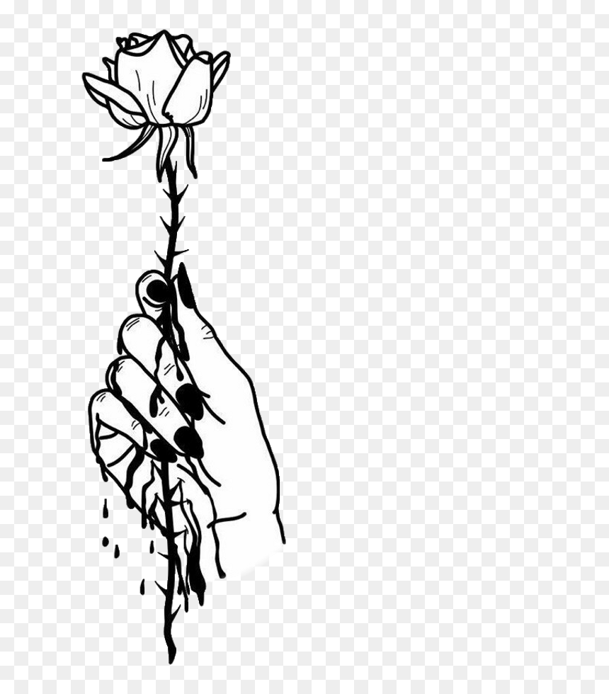 Flower Transparent Line Art, HD Png Download - flowers png tumblr