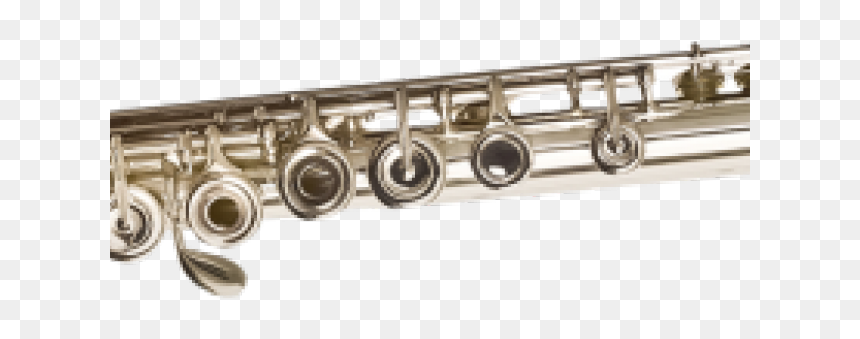 Western Concert Flute, HD Png Download - mayilpeeli png