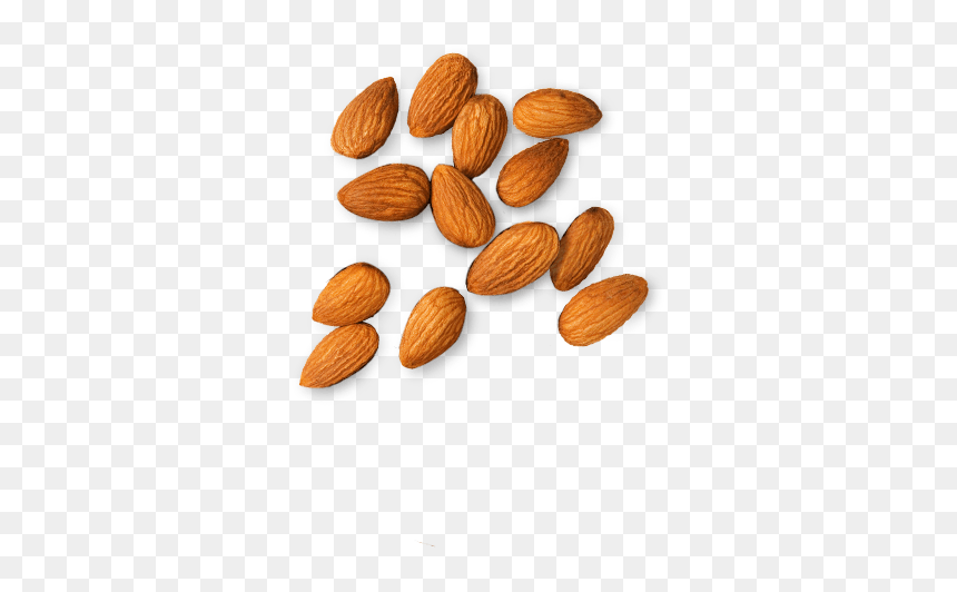 Top 10 Fat Food, HD Png Download - badam png