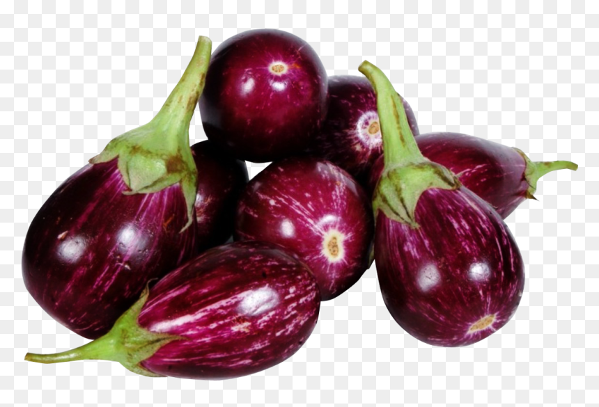 Brinjal Png, Transparent Png - brinjal png