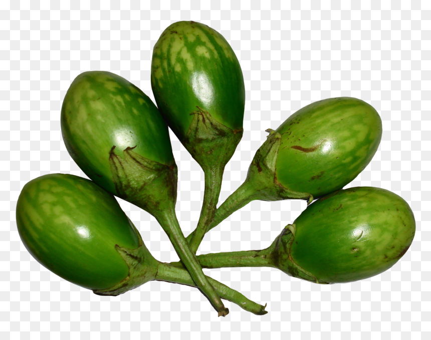 Green Brinjal Png, Transparent Png - brinjal png