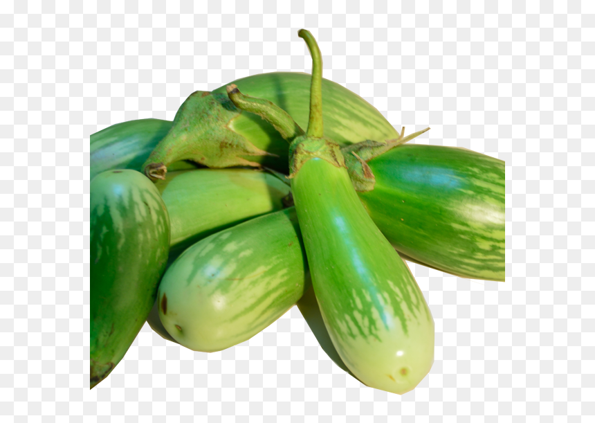 White Brinjal Png, Transparent Png - brinjal png
