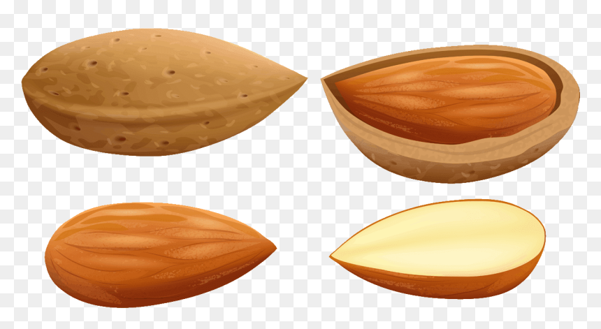 Almonds Clipart Png, Transparent Png - badam png