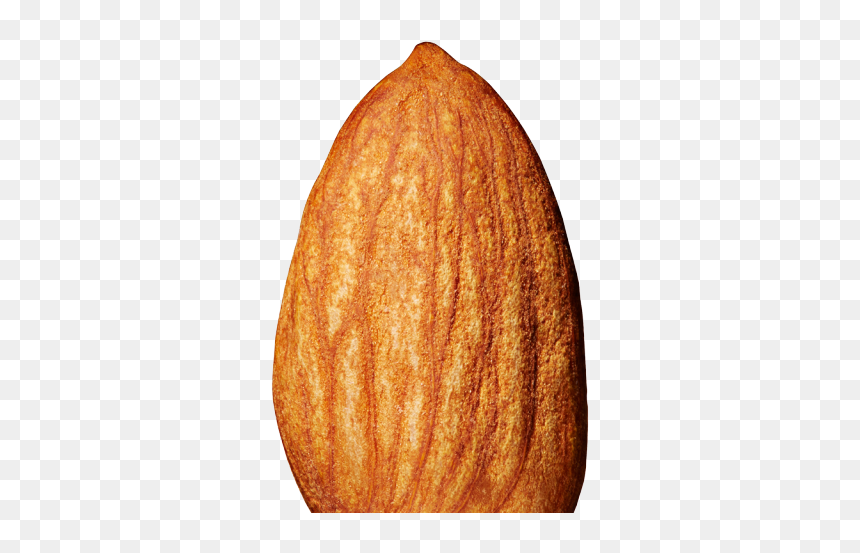 Fire Emblem Alm Almond, HD Png Download - badam png