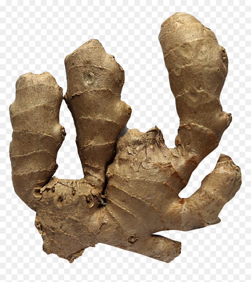 Ginger, HD Png Download - brinjal png