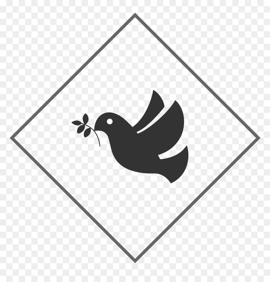 Pigeons And Doves, HD Png Download - white pigeon png