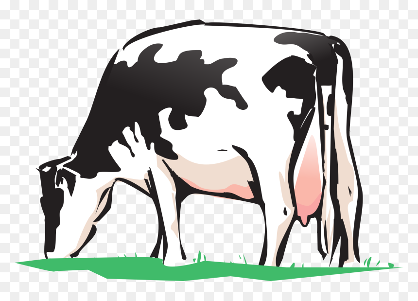 Deworming Diagram Of Cattle, HD Png Download - indian cow png