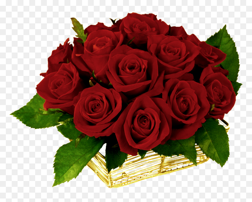 Rose-family - Pixiz Bunch Of Roses, HD Png Download - rosas rosas png