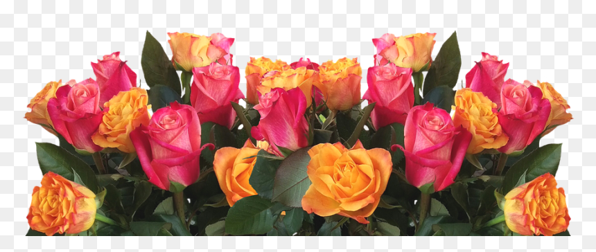 Jardin De Flores Png, Transparent Png - rosas rosas png