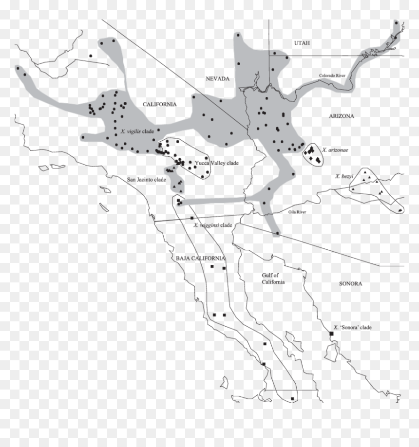 Map, HD Png Download - grietas png