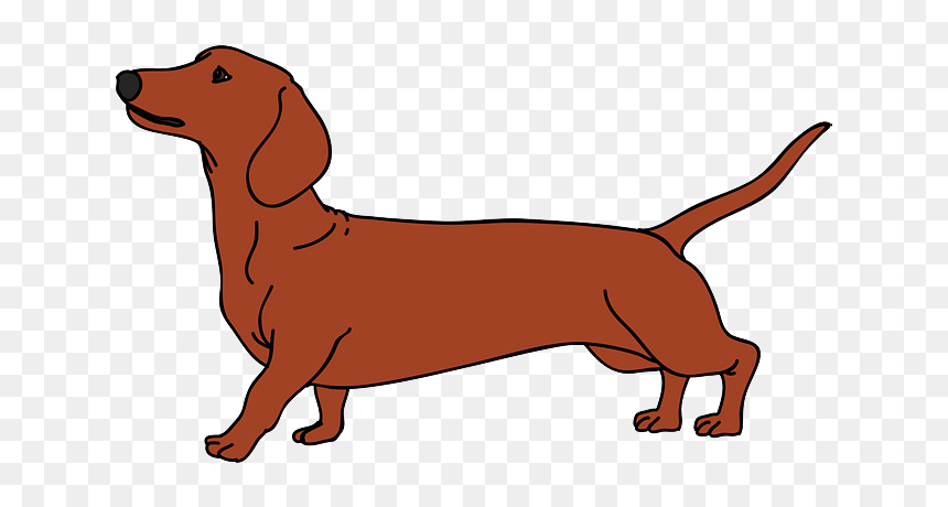 Dachshund Vector Graphics Dog Breed Puppy Illustration - Dachshund Silhouette, HD Png Download - wiener dog png