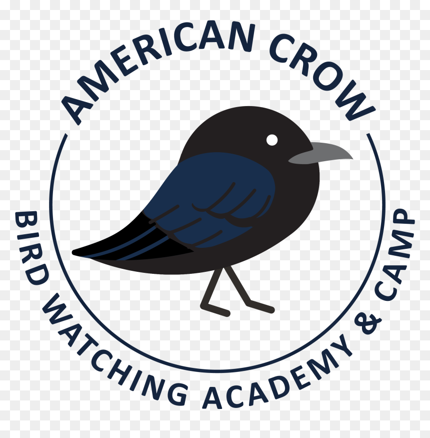 Bugil High School, HD Png Download - crow feather png