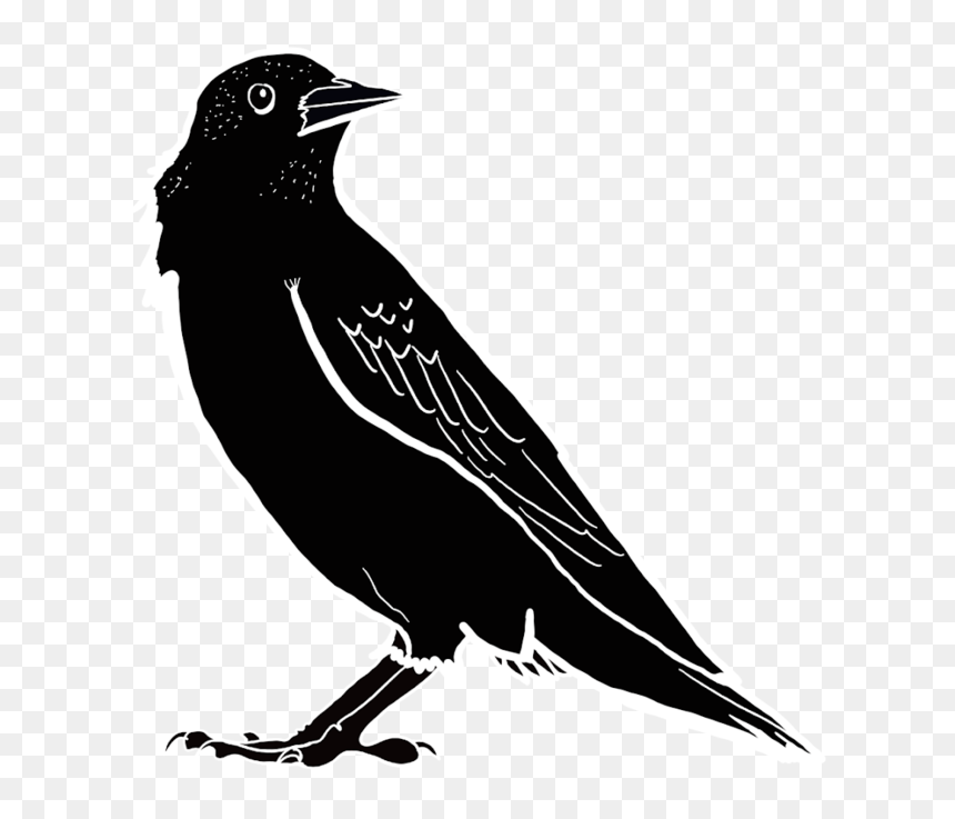 1 - Portable Network Graphics, HD Png Download - crow feather png