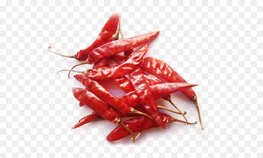 Pro Chilli Sannam - Sannam Dry Red Chilli, HD Png Download - chilli png