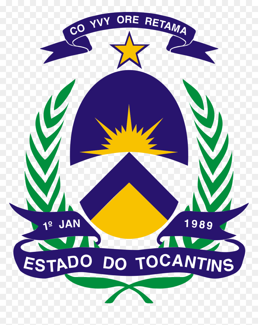 Brasao Estado Tocantins, HD Png Download - bandeira do brasil estilizada png