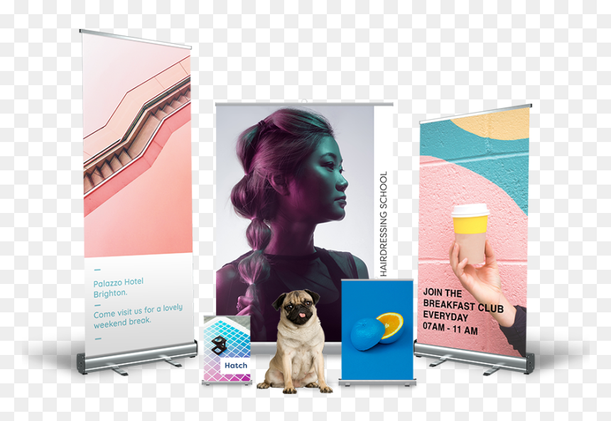 3 Roller Banners Side By Side - Pug, HD Png Download - side banner png