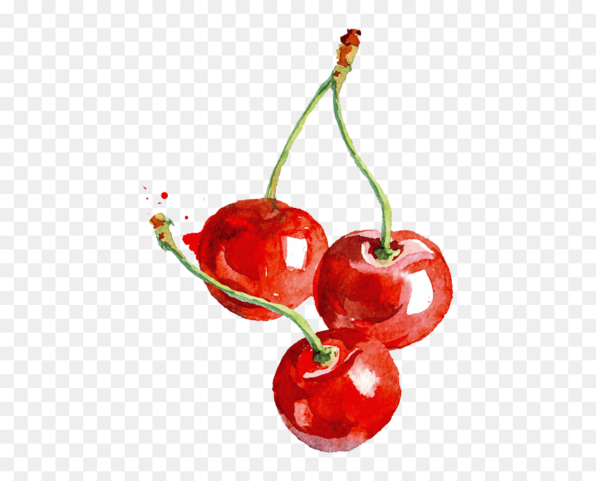 Cerezas - Cherry Teacher Gift, HD Png Download - cereza png