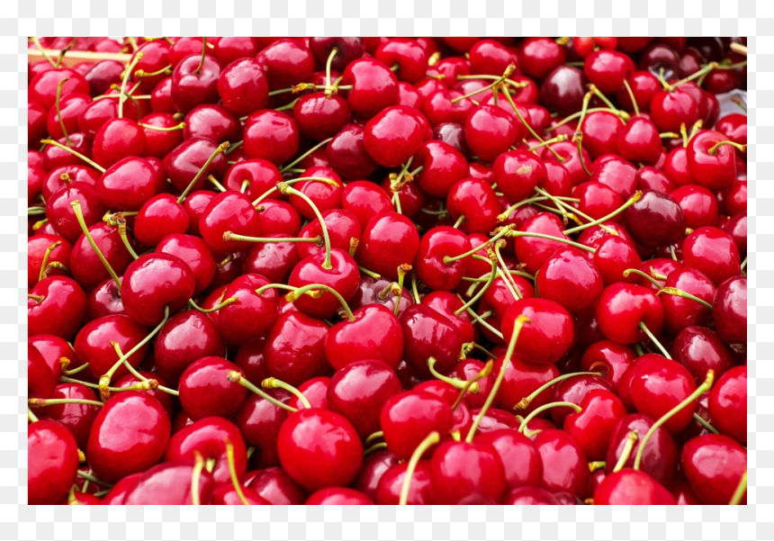 Cereza - Cherries, HD Png Download - cereza png