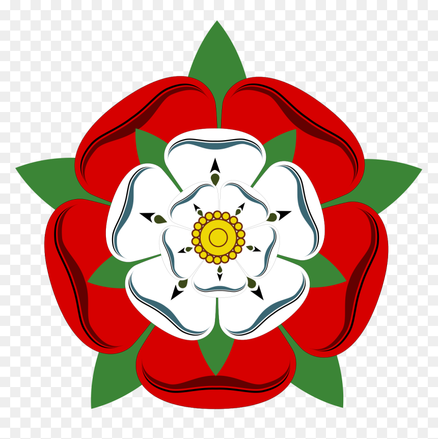 War Of The Roses Rose, HD Png Download - rose illustration png