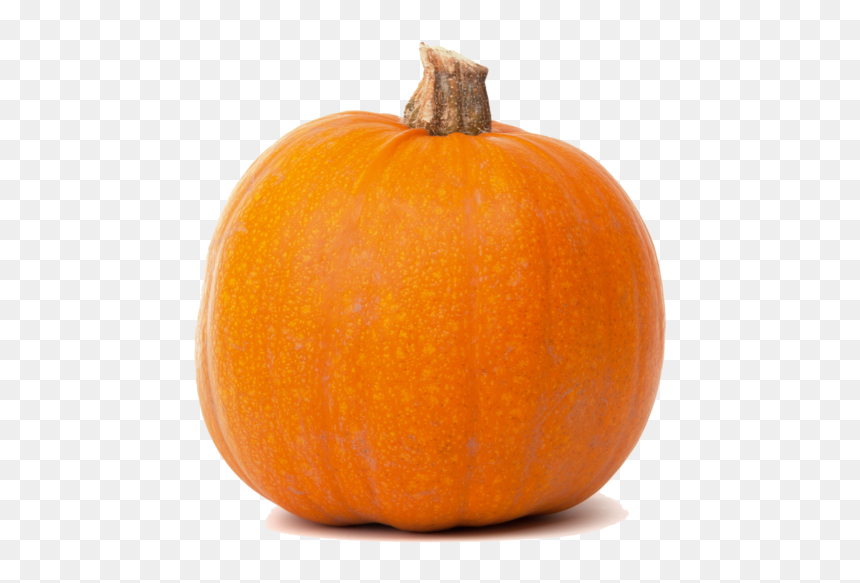 Real Pumpkin Transparent Png - Pumpkin Isolated Free, Png Download - happy pumpkin png