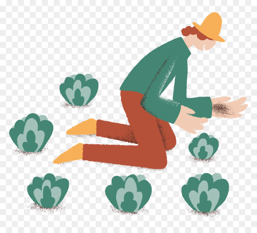 Illustration, HD Png Download - food network png