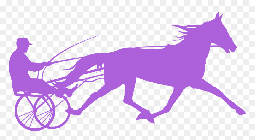 Mane, HD Png Download - harness png
