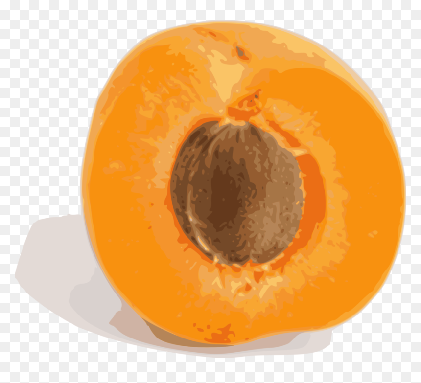 Orange,food,plant - Apricot Fruit, HD Png Download - pumpkin vines png