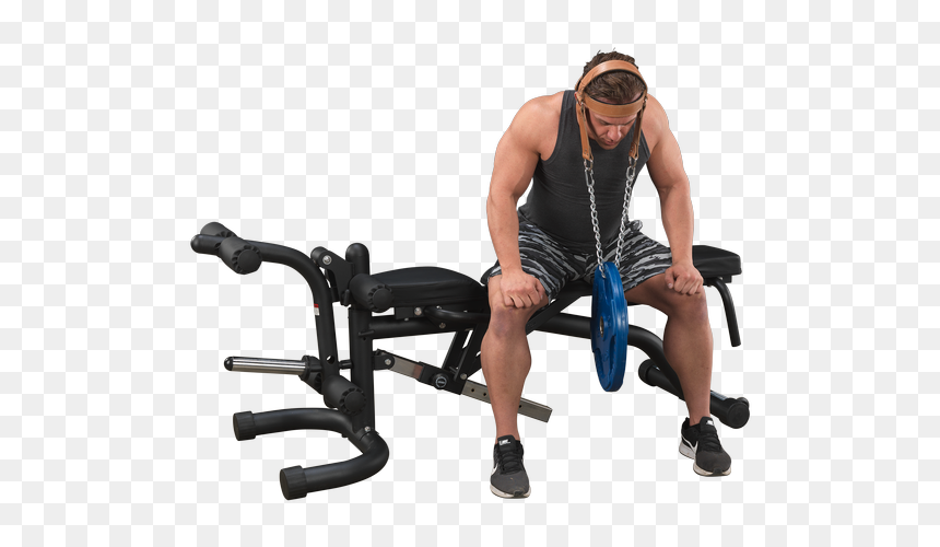 Leather Head Harness - Neck Harness Exercises, HD Png Download - harness png
