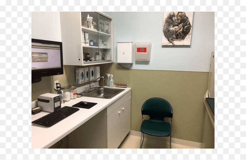 The Exam Room Is Very Comforting At Riverside Animal, HD Png Download - hospital room png